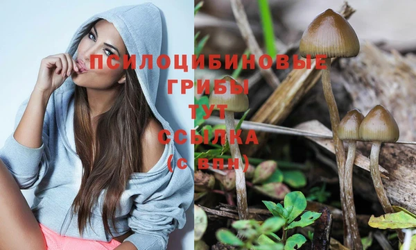 мдпв Пересвет