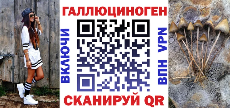 купить наркотики сайты Лосино-Петровский Галлюциногенные грибы Cubensis